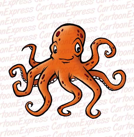 octopus